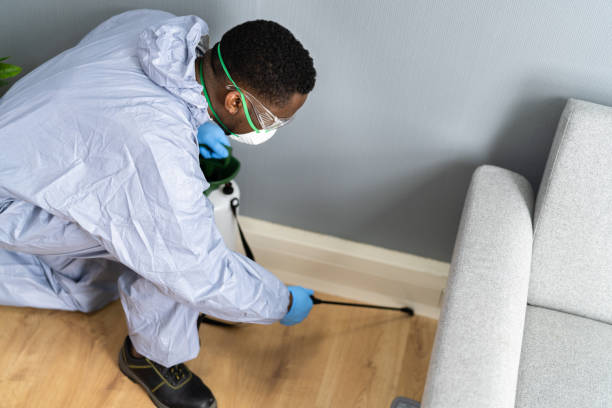 Best Pest Control for Multi-Family Homes  in Clintondale, NY